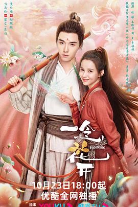 网站优化授权商城是什么